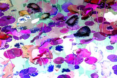 Nilüfer yaprakları ve nilüfer yapraklarıyla sunulan zarif desenli tasarım.