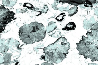 Nilüfer yaprakları ve nilüfer yapraklarıyla sunulan zarif desenli tasarım.