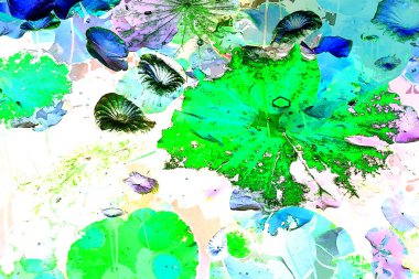 Nilüfer yaprakları ve nilüfer yapraklarıyla sunulan zarif desenli tasarım.