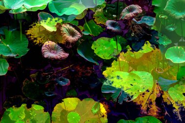 Nilüfer yaprakları ve nilüfer yapraklarıyla sunulan zarif desenli tasarım.