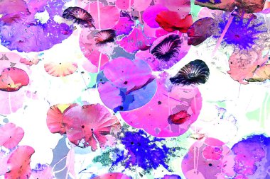 Nilüfer yaprakları ve nilüfer yapraklarıyla sunulan zarif desenli tasarım.