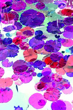 Nilüfer yaprakları ve nilüfer yapraklarıyla sunulan zarif desenli tasarım.