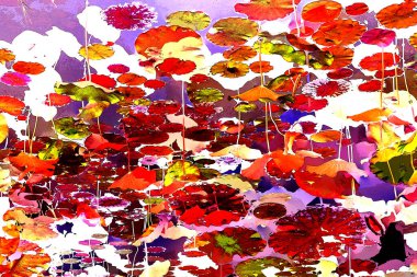 Nilüfer yaprakları ve nilüfer yapraklarıyla sunulan zarif desenli tasarım.