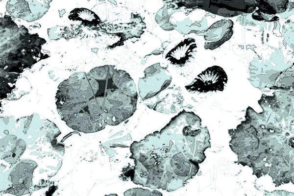 Nilüfer yaprakları ve nilüfer yapraklarıyla sunulan zarif desenli tasarım.