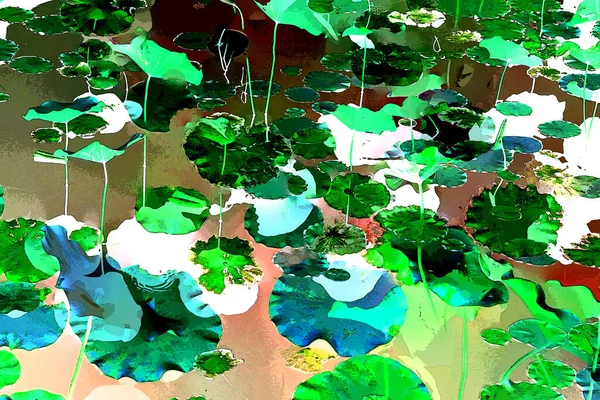 Nilüfer yaprakları ve nilüfer yapraklarıyla sunulan zarif desenli tasarım.