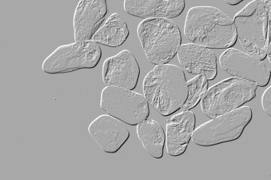 Seramik duvar ve döşemeler için doku arkaplanı. Banyo, mutfak kiremitleri. Duvar kağıdı.