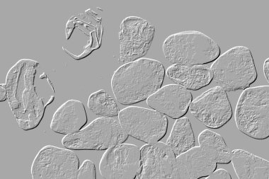 Seramik duvar ve döşemeler için doku arkaplanı. Banyo, mutfak kiremitleri. Duvar kağıdı.