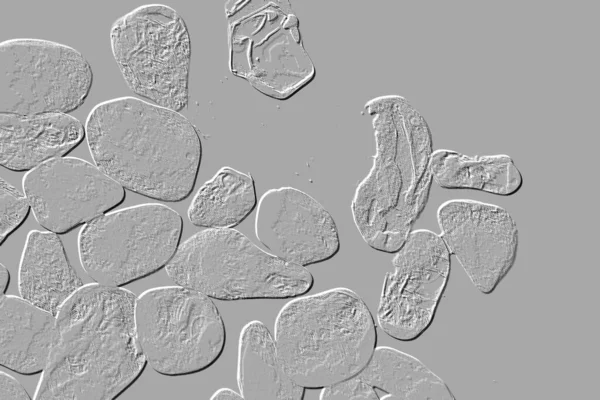 Seramik duvar ve döşemeler için doku arkaplanı. Banyo, mutfak kiremitleri. Duvar kağıdı.