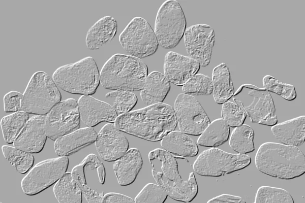 Seramik duvar ve döşemeler için doku arkaplanı. Banyo, mutfak kiremitleri. Duvar kağıdı.