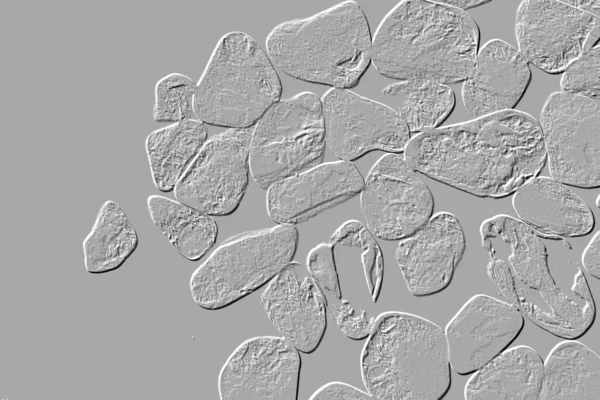 Seramik duvar ve döşemeler için doku arkaplanı. Banyo, mutfak kiremitleri. Duvar kağıdı.