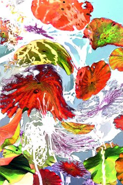 Nilüfer yaprakları ve nilüfer yapraklarıyla sunulan zarif desenli tasarım.