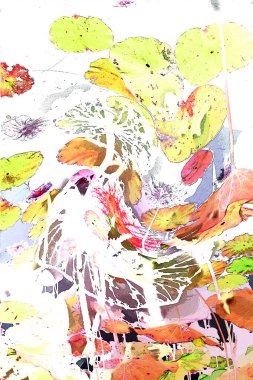 Nilüfer yaprakları ve nilüfer yapraklarıyla sunulan zarif desenli tasarım.