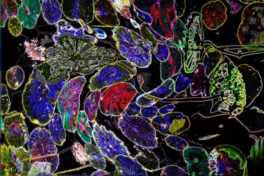 Nilüfer yaprakları ve nilüfer yapraklarıyla sunulan zarif desenli tasarım.