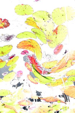 Nilüfer yaprakları ve nilüfer yapraklarıyla sunulan zarif desenli tasarım.