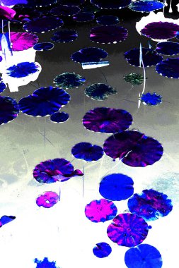 Nilüfer yaprakları ve nilüfer yapraklarıyla sunulan zarif desenli tasarım.