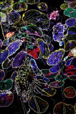 Nilüfer yaprakları ve nilüfer yapraklarıyla sunulan zarif desenli tasarım.