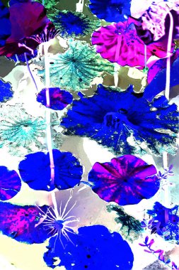 Nilüfer yaprakları ve nilüfer yapraklarıyla sunulan zarif desenli tasarım.