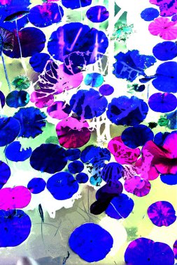 Nilüfer yaprakları ve nilüfer yapraklarıyla sunulan zarif desenli tasarım.