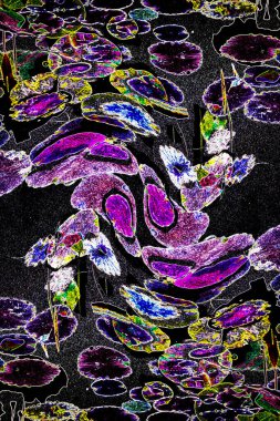 Nilüfer yaprakları ve nilüfer yapraklarıyla sunulan zarif desenli tasarım.