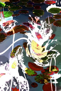 Nilüfer yaprakları ve nilüfer yapraklarıyla sunulan zarif desenli tasarım.