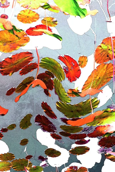 Nilüfer yaprakları ve nilüfer yapraklarıyla sunulan zarif desenli tasarım.