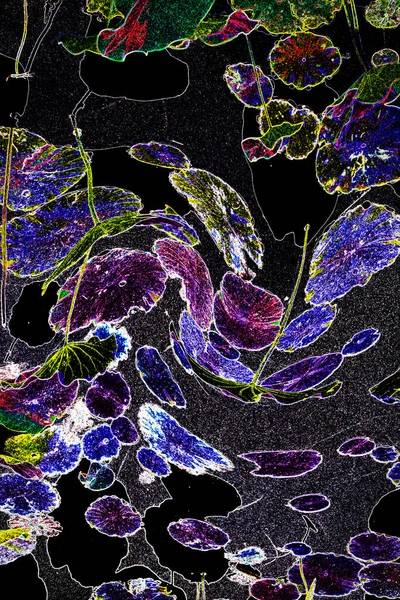 Nilüfer yaprakları ve nilüfer yapraklarıyla sunulan zarif desenli tasarım.