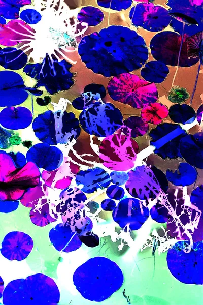 Nilüfer yaprakları ve nilüfer yapraklarıyla sunulan zarif desenli tasarım.