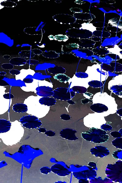 Nilüfer yaprakları ve nilüfer yapraklarıyla sunulan zarif desenli tasarım.