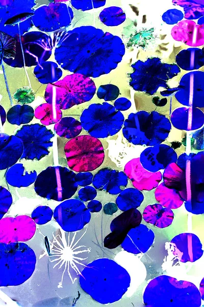 Nilüfer yaprakları ve nilüfer yapraklarıyla sunulan zarif desenli tasarım.