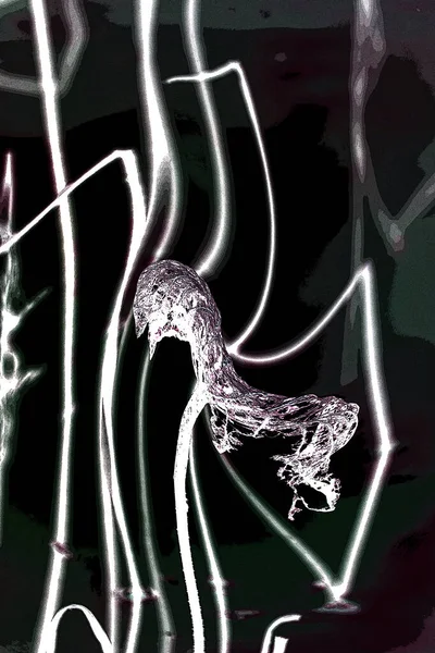 Элегантный Дизайн Лотосом Листьями Лилии — стоковое фото
