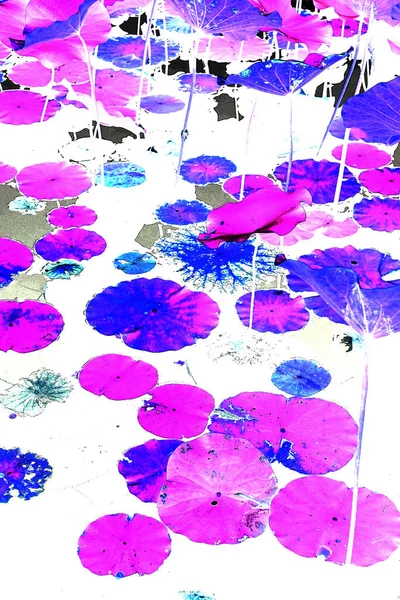 Nilüfer yaprakları ve nilüfer yapraklarıyla sunulan zarif desenli tasarım.