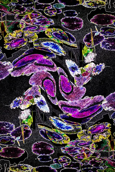 Nilüfer yaprakları ve nilüfer yapraklarıyla sunulan zarif desenli tasarım.