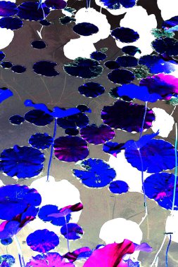 Nilüfer yaprakları ve nilüfer yapraklarıyla sunulan zarif desenli tasarım.