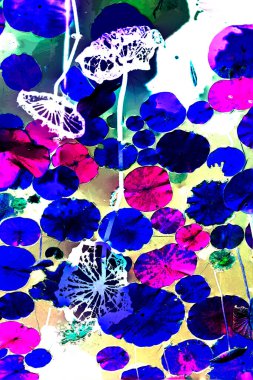 Nilüfer yaprakları ve nilüfer yapraklarıyla sunulan zarif desenli tasarım.