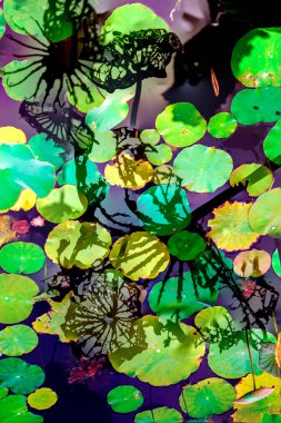 Nilüfer yaprakları ve nilüfer yapraklarıyla sunulan zarif desenli tasarım.
