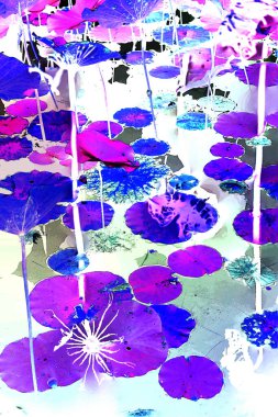 Nilüfer yaprakları ve nilüfer yapraklarıyla sunulan zarif desenli tasarım.