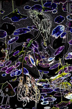 Nilüfer yaprakları ve nilüfer yapraklarıyla sunulan zarif desenli tasarım.