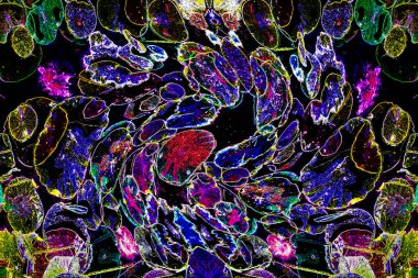 Nilüfer yaprakları ve nilüfer yapraklarıyla sunulan zarif desenli tasarım.