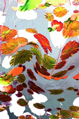 Nilüfer yaprakları ve nilüfer yapraklarıyla sunulan zarif desenli tasarım.