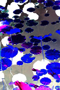 Nilüfer yaprakları ve nilüfer yapraklarıyla sunulan zarif desenli tasarım.