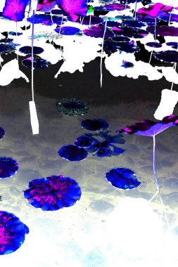 Nilüfer yaprakları ve nilüfer yapraklarıyla sunulan zarif desenli tasarım.