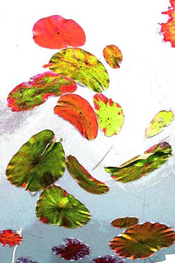 Nilüfer yaprakları ve nilüfer yapraklarıyla sunulan zarif desenli tasarım.