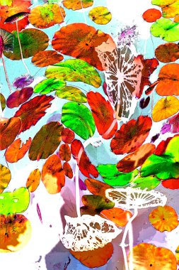 Nilüfer yaprakları ve nilüfer yapraklarıyla sunulan zarif desenli tasarım.