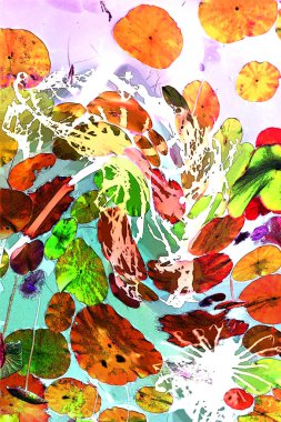 Nilüfer yaprakları ve nilüfer yapraklarıyla sunulan zarif desenli tasarım.