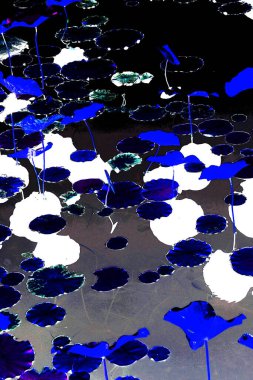 Nilüfer yaprakları ve nilüfer yapraklarıyla sunulan zarif desenli tasarım.