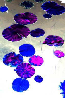 Nilüfer yaprakları ve nilüfer yapraklarıyla sunulan zarif desenli tasarım.