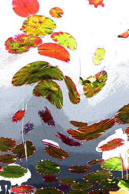 Nilüfer yaprakları ve nilüfer yapraklarıyla sunulan zarif desenli tasarım.