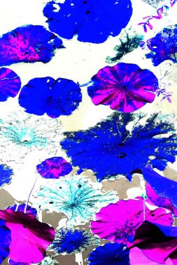 Nilüfer yaprakları ve nilüfer yapraklarıyla sunulan zarif desenli tasarım.