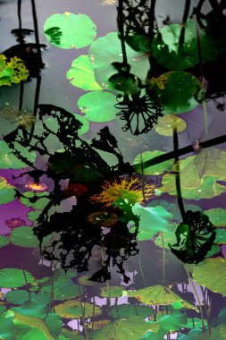 Nilüfer yaprakları ve nilüfer yapraklarıyla sunulan zarif desenli tasarım.