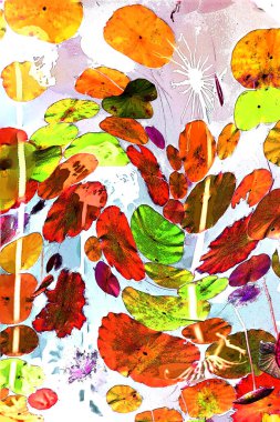 Nilüfer yaprakları ve nilüfer yapraklarıyla sunulan zarif desenli tasarım.